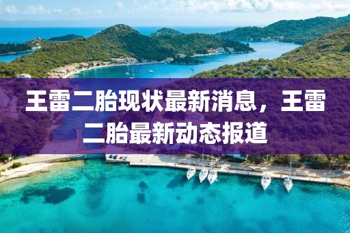 王雷二胎現(xiàn)狀最新消息，王雷二胎最新動(dòng)態(tài)報(bào)道