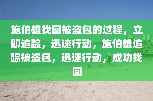 施伯雄找回被盜包的過程，立即追蹤，迅速行動，施伯雄追蹤被盜包，迅速行動，成功找回