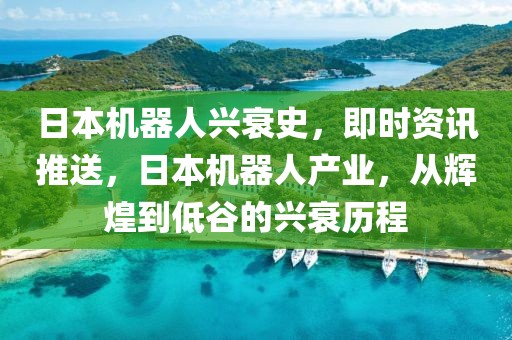 日本機器人興衰史，即時資訊推送，日本機器人產業(yè)，從輝煌到低谷的興衰歷程