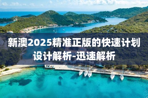新澳2025精準(zhǔn)正版的快速計劃設(shè)計解析-迅速解析