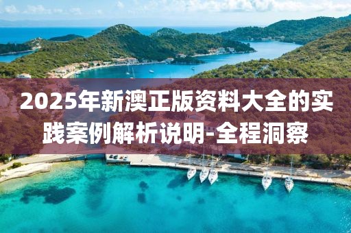 2025年新澳正版資料大全的實(shí)踐案例解析說(shuō)明-全程洞察