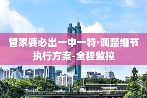 管家婆必出一中一特·調(diào)整細節(jié)執(zhí)行方案-全程監(jiān)控