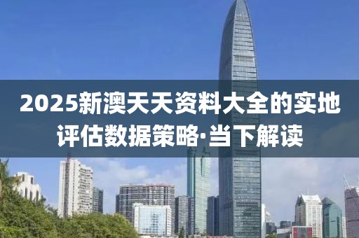 2025新澳天天資料大全的實(shí)地評(píng)估數(shù)據(jù)策略·當(dāng)下解讀