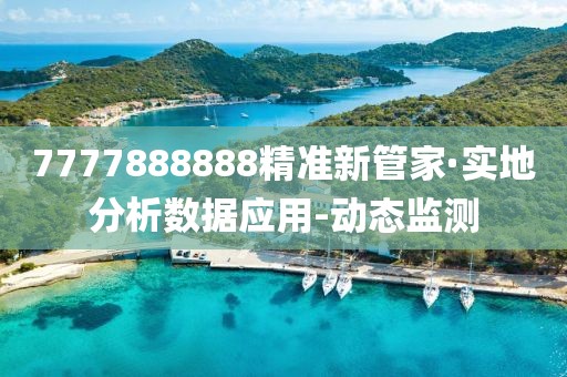 7777888888精準(zhǔn)新管家·實(shí)地分析數(shù)據(jù)應(yīng)用-動(dòng)態(tài)監(jiān)測(cè)