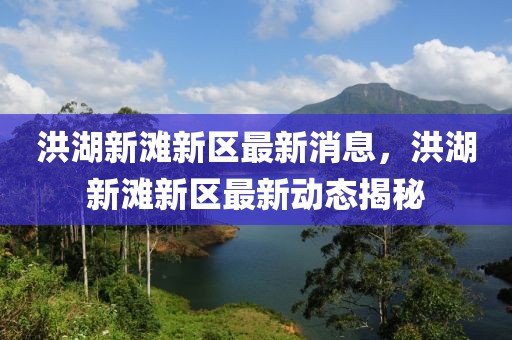 洪湖新灘新區(qū)最新消息，洪湖新灘新區(qū)最新動態(tài)揭秘