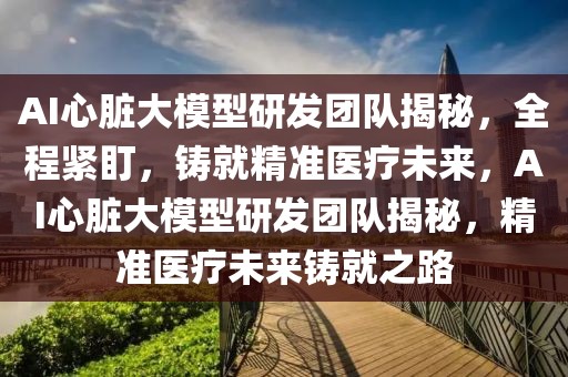 AI心臟大模型研發(fā)團隊揭秘，全程緊盯，鑄就精準醫(yī)療未來，AI心臟大模型研發(fā)團隊揭秘，精準醫(yī)療未來鑄就之路