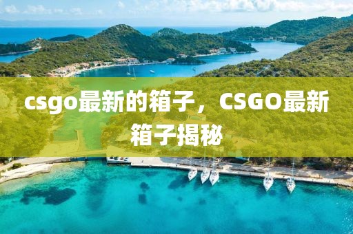 csgo最新的箱子，CSGO最新箱子揭秘
