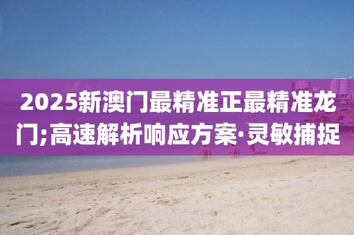 2025新澳門最精準正最精準龍門;高速解析響應方案·靈敏捕捉