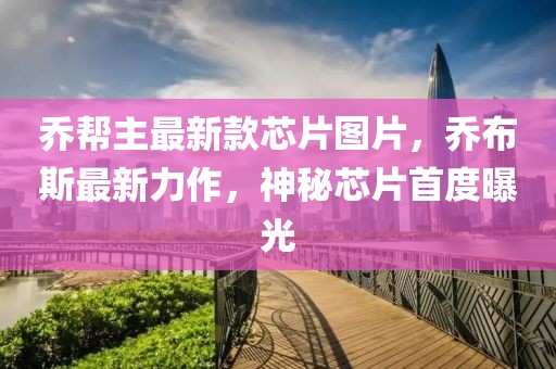 喬幫主最新款芯片圖片，喬布斯最新力作，神秘芯片首度曝光