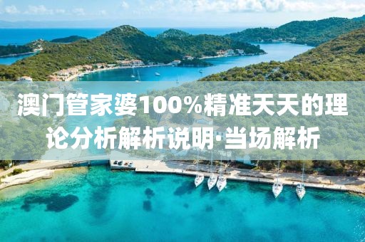 澳門管家婆100%精準(zhǔn)天天的理論分析解析說明·當(dāng)場解析