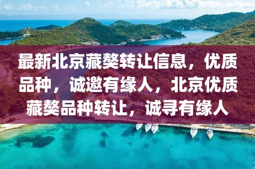 最新北京藏獒轉(zhuǎn)讓信息，優(yōu)質(zhì)品種，誠(chéng)邀有緣人，北京優(yōu)質(zhì)藏獒品種轉(zhuǎn)讓，誠(chéng)尋有緣人