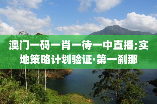 澳門一碼一肖一待一中直播;實(shí)地策略計(jì)劃驗(yàn)證·第一剎那