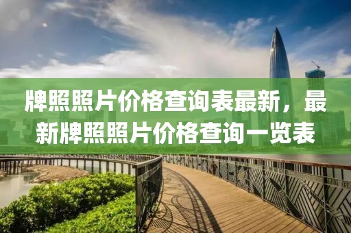 牌照照片價格查詢表最新，最新牌照照片價格查詢一覽表