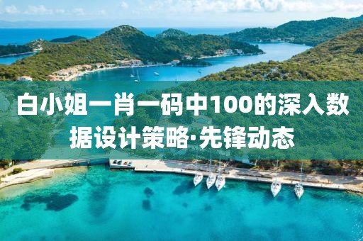 白小姐一肖一碼中100的深入數(shù)據(jù)設(shè)計策略·先鋒動態(tài)