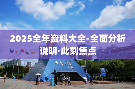 2025全年資料大全-全面分析說明·此刻焦點