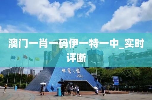 澳門一肖一碼伊一特一中_實時評斷
