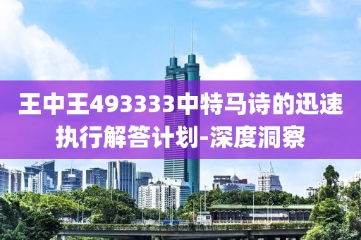王中王493333中特馬詩的迅速執(zhí)行解答計劃-深度洞察