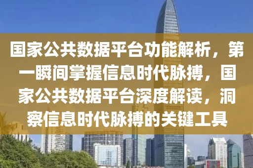 國(guó)家公共數(shù)據(jù)平臺(tái)功能解析，第一瞬間掌握信息時(shí)代脈搏，國(guó)家公共數(shù)據(jù)平臺(tái)深度解讀，洞察信息時(shí)代脈搏的關(guān)鍵工具