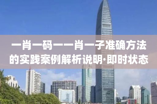 一肖一碼一一肖一子準(zhǔn)確方法的實踐案例解析說明·即時狀態(tài)