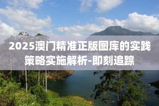 2025澳門(mén)精準(zhǔn)正版圖庫(kù)的實(shí)踐策略實(shí)施解析-即刻追蹤