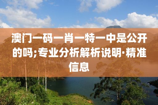 澳門一碼一肖一特一中是公開的嗎;專業(yè)分析解析說明·精準(zhǔn)信息