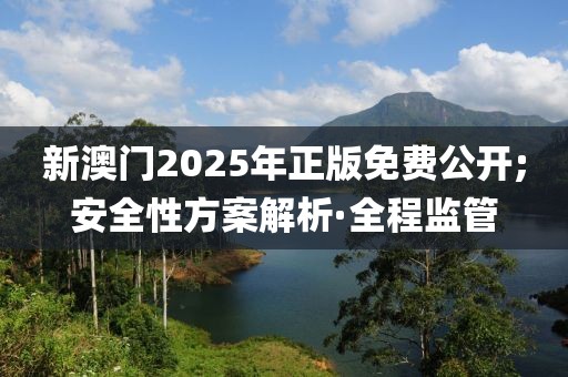 新澳門2025年正版免費公開;安全性方案解析·全程監(jiān)管