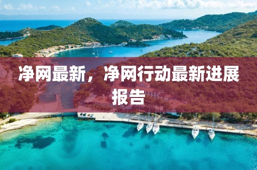 凈網(wǎng)最新，凈網(wǎng)行動(dòng)最新進(jìn)展報(bào)告
