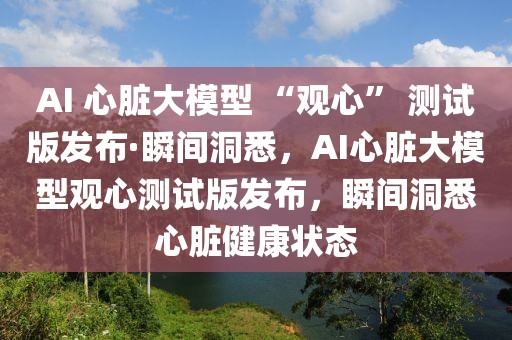 AI 心臟大模型 “觀心” 測(cè)試版發(fā)布·瞬間洞悉，AI心臟大模型觀心測(cè)試版發(fā)布，瞬間洞悉心臟健康狀態(tài)