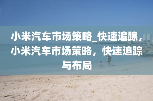 小米汽車市場(chǎng)策略_快速追蹤，小米汽車市場(chǎng)策略，快速追蹤與布局