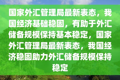 國家外匯管理局最新表態(tài)，我國經(jīng)濟(jì)基礎(chǔ)穩(wěn)固，有助于外匯儲(chǔ)備規(guī)模保持基本穩(wěn)定，國家外匯管理局最新表態(tài)，我國經(jīng)濟(jì)穩(wěn)固助力外匯儲(chǔ)備規(guī)模保持穩(wěn)定
