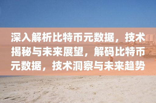 深入解析比特幣元數(shù)據(jù)，技術(shù)揭秘與未來展望，解碼比特幣元數(shù)據(jù)，技術(shù)洞察與未來趨勢(shì)