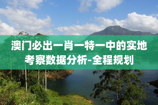 澳門必出一肖一特一中的實(shí)地考察數(shù)據(jù)分析-全程規(guī)劃