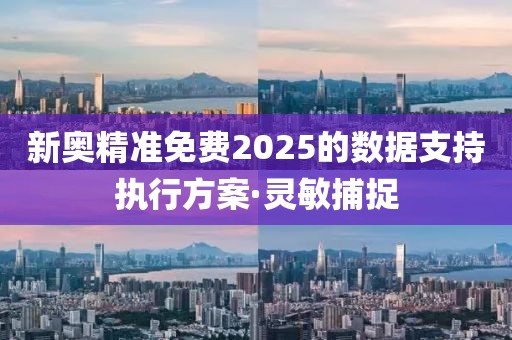 新奧精準(zhǔn)免費(fèi)2025的數(shù)據(jù)支持執(zhí)行方案·靈敏捕捉