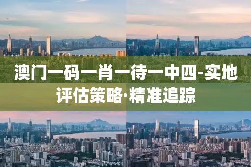 澳門一碼一肖一待一中四-實地評估策略·精準(zhǔn)追蹤