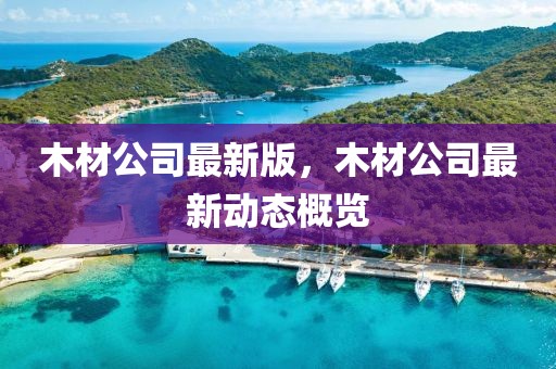 木材公司最新版，木材公司最新動(dòng)態(tài)概覽