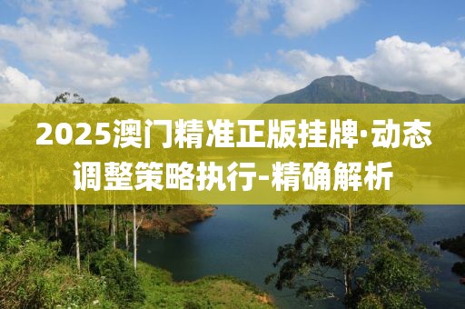 2025澳門精準(zhǔn)正版掛牌·動(dòng)態(tài)調(diào)整策略執(zhí)行-精確解析