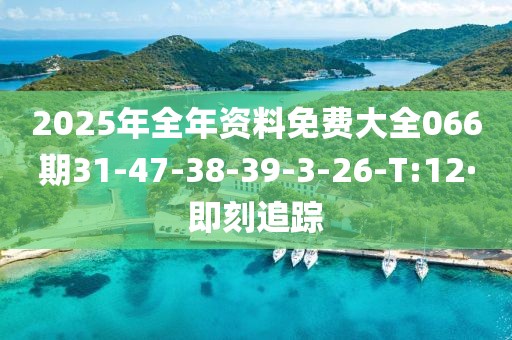 2025年全年資料免費(fèi)大全066期31-47-38-39-3-26-T:12·即刻追蹤