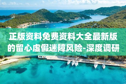 正版資料免費資料大全最新版的留心虛假迷障風險-深度調(diào)研