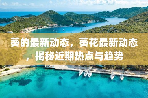 葵的最新動態(tài)，葵花最新動態(tài)，揭秘近期熱點(diǎn)與趨勢