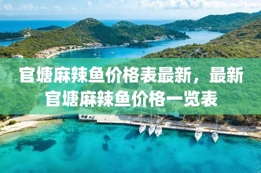 官塘麻辣魚價(jià)格表最新，最新官塘麻辣魚價(jià)格一覽表