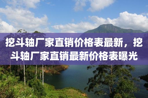 挖斗軸廠家直銷價(jià)格表最新，挖斗軸廠家直銷最新價(jià)格表曝光