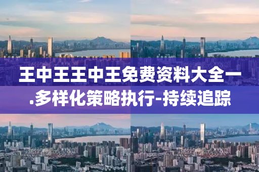 王中王王中王免費(fèi)資料大全一.多樣化策略執(zhí)行-持續(xù)追蹤