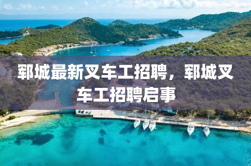 鄆城最新叉車(chē)工招聘，鄆城叉車(chē)工招聘啟事