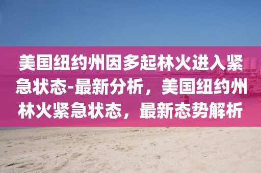 美國紐約州因多起林火進(jìn)入緊急狀態(tài)-最新分析，美國紐約州林火緊急狀態(tài)，最新態(tài)勢解析