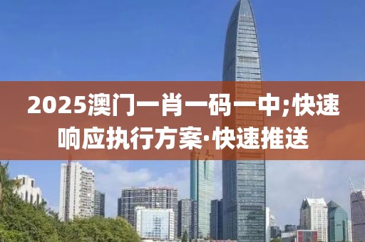 2025澳門一肖一碼一中;快速響應(yīng)執(zhí)行方案·快速推送