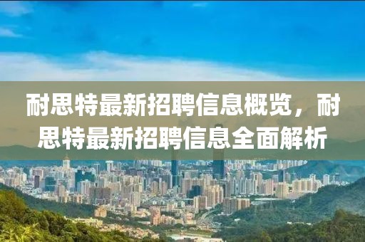 耐思特最新招聘信息概覽，耐思特最新招聘信息全面解析