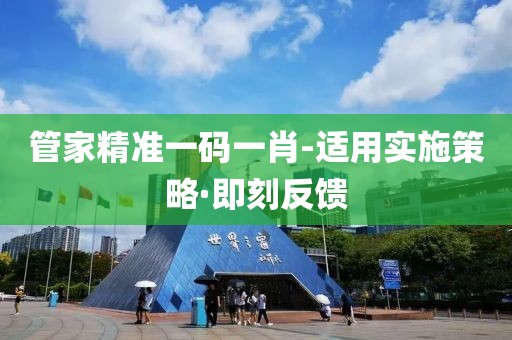 管家精準(zhǔn)一碼一肖-適用實(shí)施策略·即刻反饋