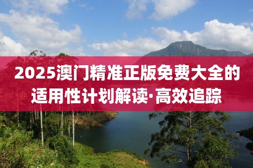 2025澳門精準正版免費大全的適用性計劃解讀·高效追蹤