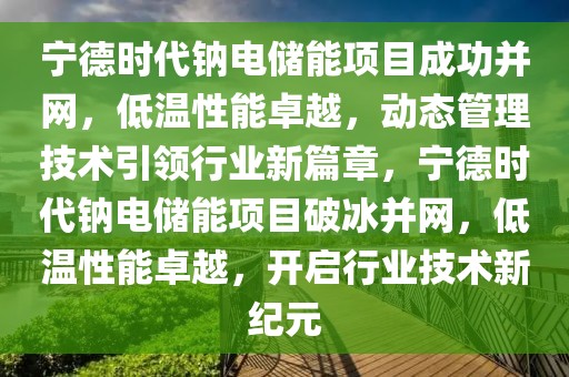 寧德時代鈉電儲能項目成功并網(wǎng)，低溫性能卓越，動態(tài)管理技術(shù)引領(lǐng)行業(yè)新篇章，寧德時代鈉電儲能項目破冰并網(wǎng)，低溫性能卓越，開啟行業(yè)技術(shù)新紀元