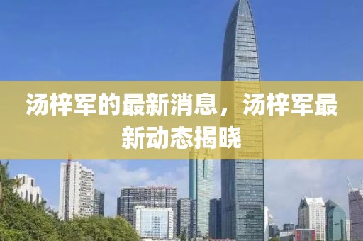 湯梓軍的最新消息，湯梓軍最新動(dòng)態(tài)揭曉